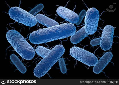 Enterobacteria. Enterobacteriaceae are a large family of Gram-negative bacteria. 3D illustration. Enterobacteria. Enterobacteriaceae are a large family of Gram-negative bacteria