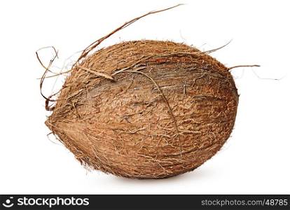 Entirely rotated coconut isolated on white background
