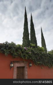 Entrance door and rooftop plants of a house, Zona Centro, San Miguel de Allende, Guanajuato, Mexico