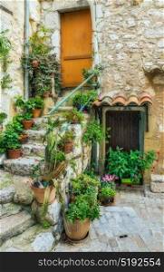 Entrance of an old French house. Entrance of an old French house with flowers