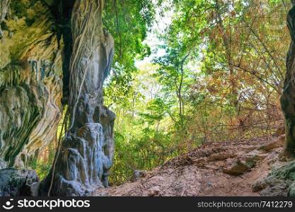 Entrance of huge natural cave. Scenic view from inside to tropical forest landscape
