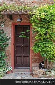 Entrance to the old Italian house and a cat