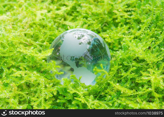 Environment concept glass globe in green grass