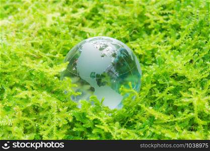 Environment concept glass globe in green grass