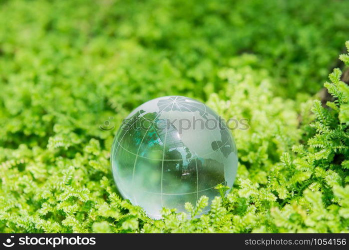 Environment concept glass globe in green grass