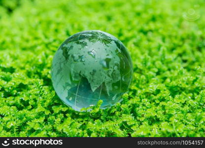 Environment concept glass globe in green grass