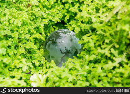 Environment concept glass globe in green grass