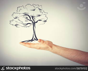 environment, ecology and nature protection concept - man with small tree in his hand