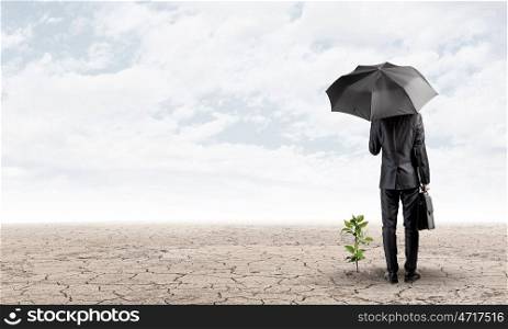 Environment protection. Rear view of businessman protecting little sprout with umbrella