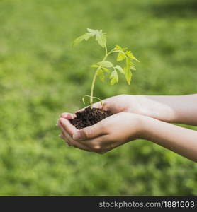 environment volunteer concept