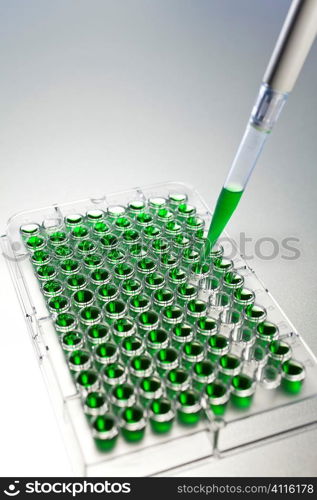 Environmental concept shot of a scientist in a laboratory creating samples of a green solution with a pipette and 96 well cell plate, The focus is on he end of the pipette dropper.