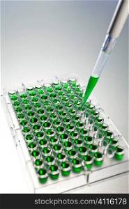 Environmental concept shot of a scientist in a laboratory creating samples of a green solution with a pipette and 96 well cell plate, The focus is on he end of the pipette dropper.