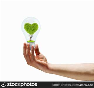 Environmental protection. Human hand holding bulb with green tree inside