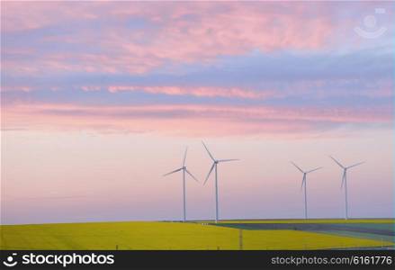Eolian field and wind turbines at sunset