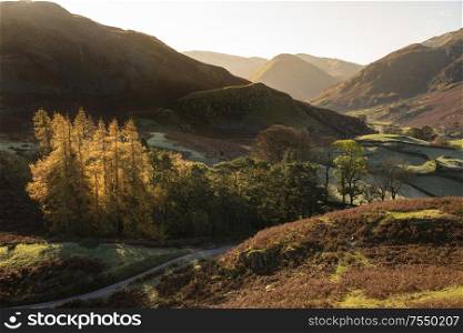 Epic Autumn Fall landscape of backlit larch trees in valleys of Sleet Fell and Howstead Brow in Lake District viewed from Hallin Fell