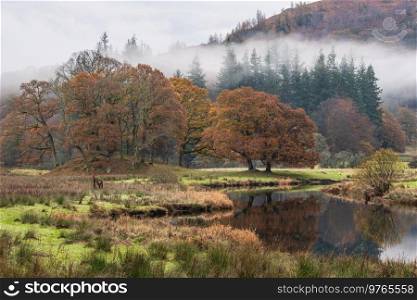 Epic Autumn landscape image of River Brathay in Lake District lookng towards Langdale Pikes with fog across river and vibrant woodlands