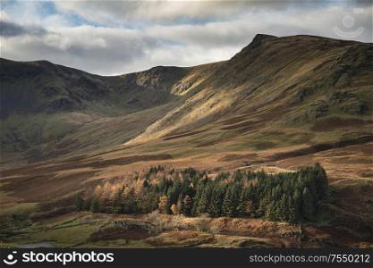 Epic landscape image of Autumn Fall with vibrant pine and larch trees against majestic setting of Hawes Water and High Stile peak in Lake District
