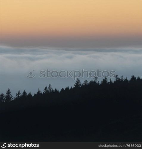 Epic landscape image of cloud inversion at sunset over Dartmoor National Park in Engand with cloud rolling through forest on horizon
