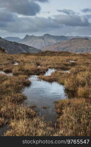 Epic landscape image of stunning Autumn sunset light across Langdale Pikes looking from Holme Fell in Lake District