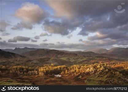 Epic landscape image of stunning Autumn sunset light across Langdale Pikes looking from Holme Fell in Lake District
