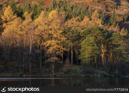 Epic landscape of sunrise light over Blea Tarn in Lake District with stunning light on distant mountains