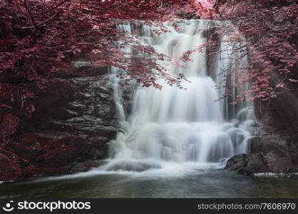 Epic waterfall in forest landscape image with added drama of false color on trees in woodland