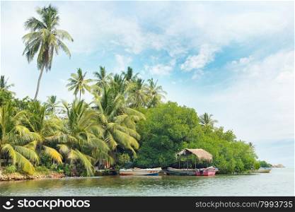 Equatorial forest and boats on the lake