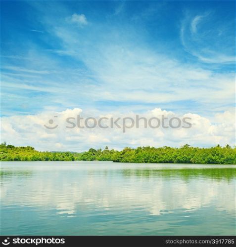 Equatorial mangroves in the lake