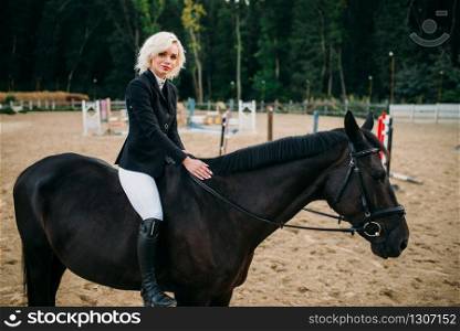Equestrian sport, woman poses on horseback. Brown stallion, leisure with animal, riding on horse. Equestrian sport, woman poses on horseback