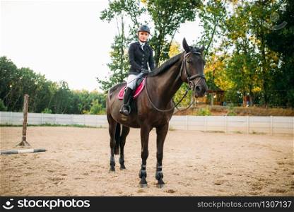 Equestrian sport, young woman sitting on horse. Female jockey and brown stallion, horseback riding