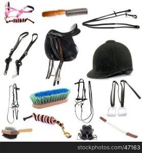equipments of horse riding in front of white background