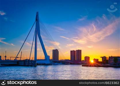 Erasmus Bridge (Erasmusbrug) and Rotterdam skyline on sunset over Nieuwe Maas river. Rotterdam, Netherlands. Erasmus Bridge on sunset, Rotterdam, Netherlands