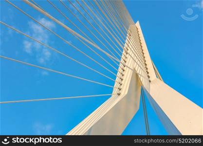 Erasmus bridge in Rotterdam city. South Holland, Netherlands.