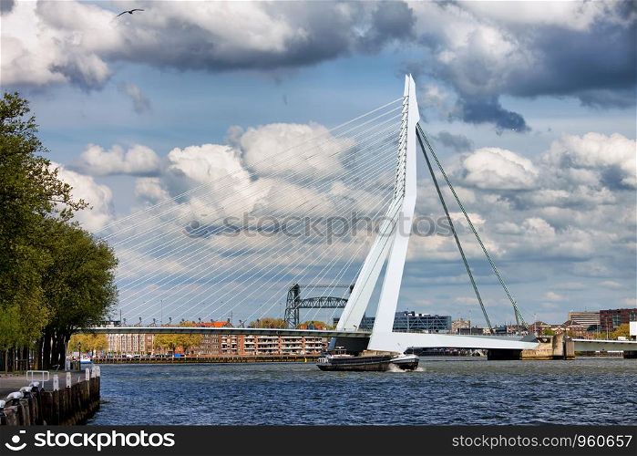 Erasmus Bridge in the city centre of Rotterdam, Netherlands, South Holland province.