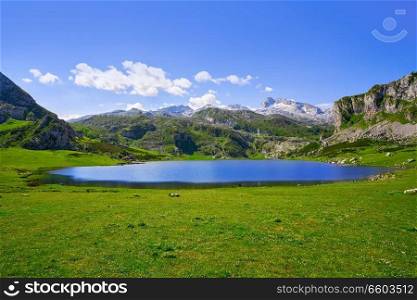 Ercina lake at Picos de Europa in Asturias of Spain