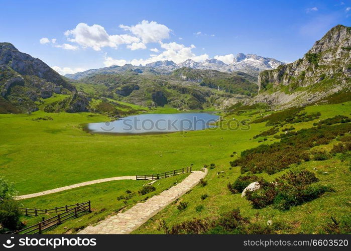 Ercina lake at Picos de Europa in Asturias of Spain