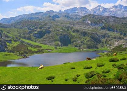 Ercina lake at Picos de Europa in Asturias of Spain