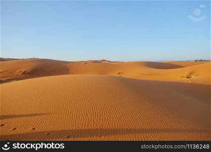 Erg Chebbi sand dunes against clear blue sky background in Sahara desert. Merzouga, Morocco.