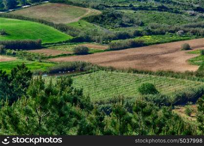 Ericeira Portugal. 13 April 2017.View of Sao Lourenco green fields in late afternoon. Sao Lourenco its about 4 km of Ericeira Village. Ericeira, Portugal. photography by Ricardo Rocha.
