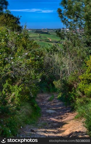Ericeira Portugal. 13 April 2017.View of Sao Lourenco green fields in late afternoon. Sao Lourenco its about 4 km of Ericeira Village. Ericeira, Portugal. photography by Ricardo Rocha.