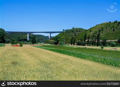 Ericeira Portugal. 19 May 2017.View of agriculture fields near Ericeira Village.Ericeira, Portugal. photography by Ricardo Rocha.