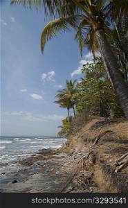 Eroding shoreline at beach Costa Rica