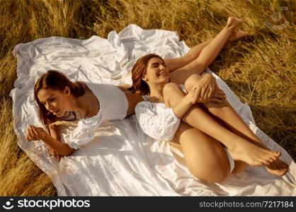 Erotic women in lingerie lying on blanket and having fun in the field, top view. Female persons with slim body in underwear leisures on meadow, relaxation on sunset, feeling of freedom. Erotic women lying on blanket in field, top view