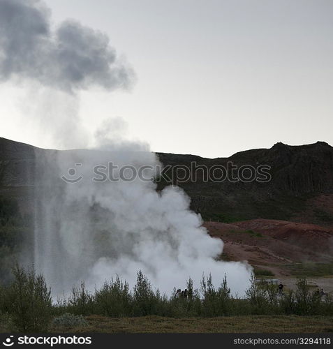 Erupting geyser in forest