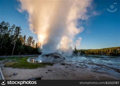 Eruption of Grotto Geyser in Yellowstone National Park, Wyoming, USA