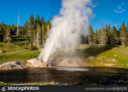 Eruption of Riverside Geyser on Firehole river in Yellowstone National Park, Wyoming, USA