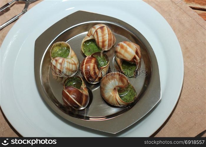 Escargots de Bourgogne on a metal plate, just out of the oven