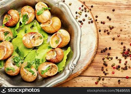 Escargots or snail with garlic butter on rustic wooden background. Bourgogne escargot snails