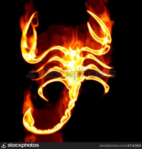 Escorpion surrounded by fire on a white background