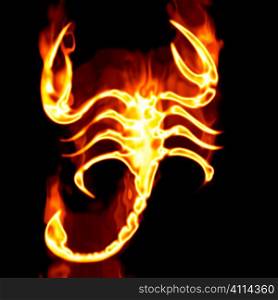 Escorpion surrounded by fire on a white background